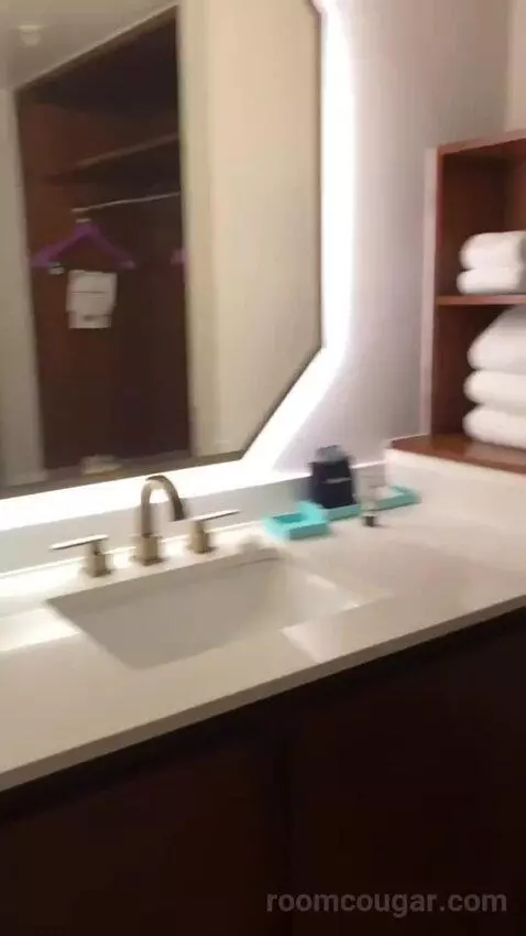 Addy's Suite, 1 Bedroom Suite, 1 King, Poolside bathroom picture #9