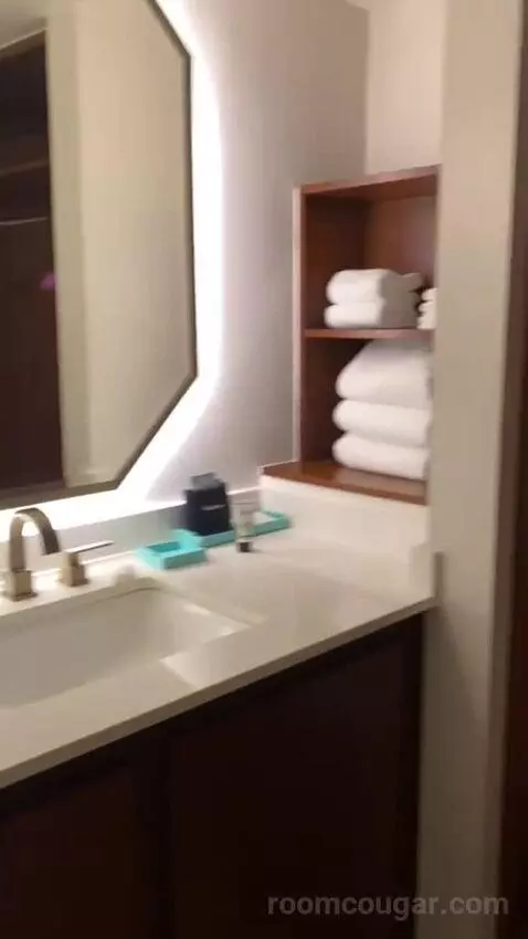 Addy's Suite, 1 Bedroom Suite, 1 King, Poolside bathroom picture #10