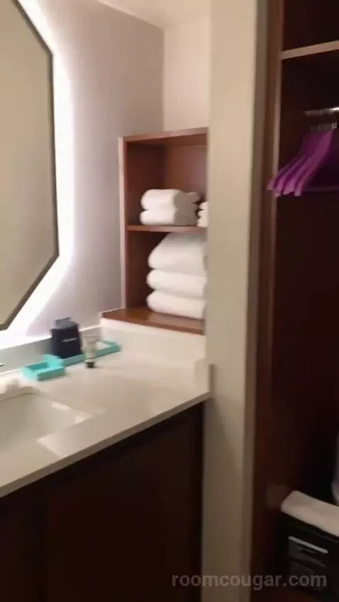 Addy's Suite, 1 Bedroom Suite, 1 King, Poolside bathroom picture #11