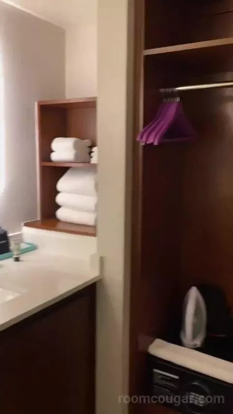 Addy's Suite, 1 Bedroom Suite, 1 King, Poolside bathroom picture #12