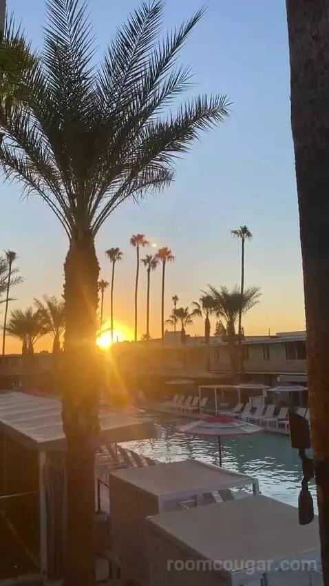 Addy's Suite, 1 Bedroom Suite, 1 King, Poolside view picture #2