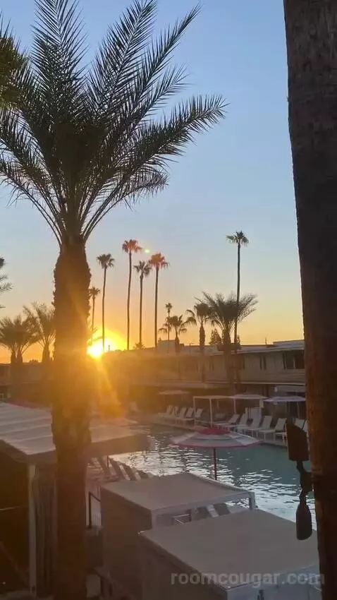 Addy's Suite, 1 Bedroom Suite, 1 King, Poolside view picture #3