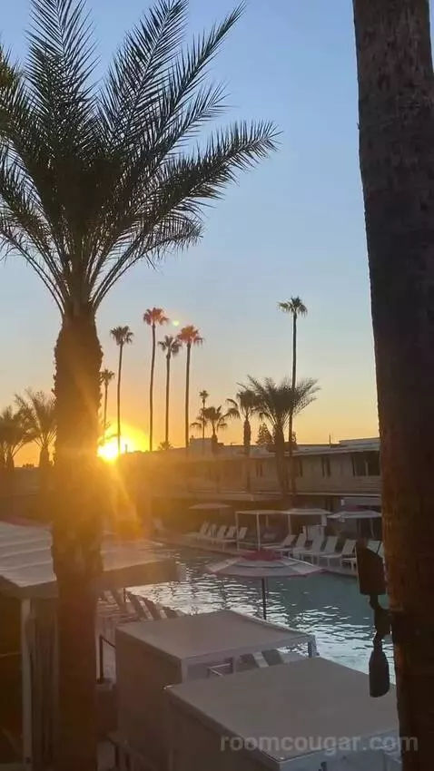 Addy's Suite, 1 Bedroom Suite, 1 King, Poolside view picture #4