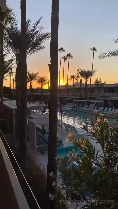 Addy's Suite, 1 Bedroom Suite, 1 King, Poolside view picture #7
