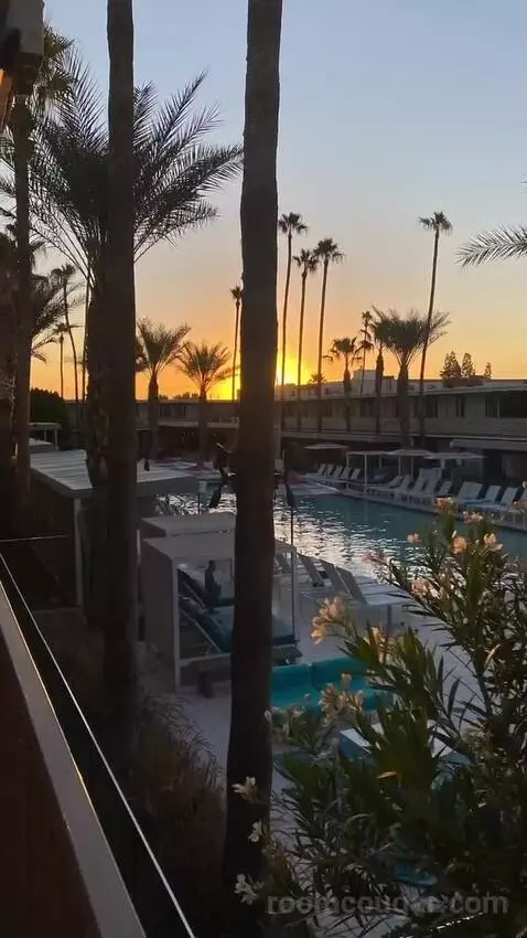 Addy's Suite, 1 Bedroom Suite, 1 King, Poolside view picture #8
