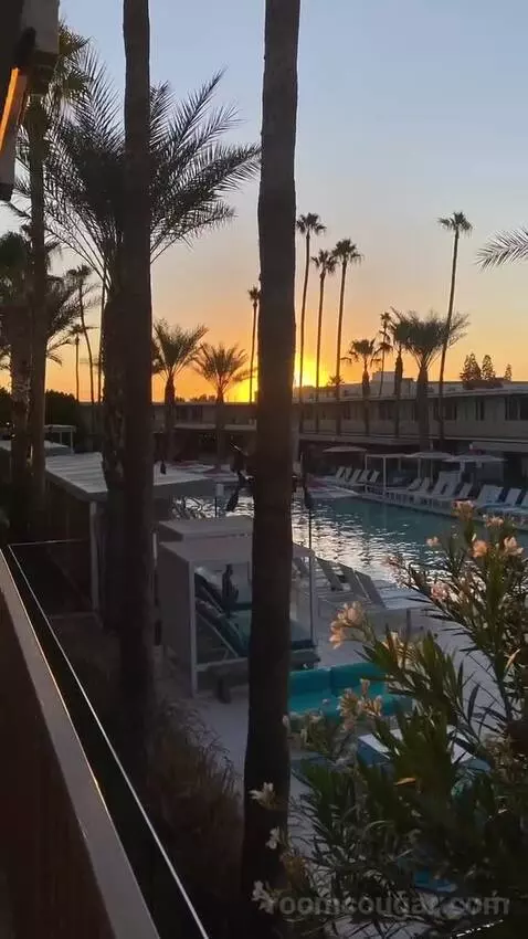 Addy's Suite, 1 Bedroom Suite, 1 King, Poolside view picture #9