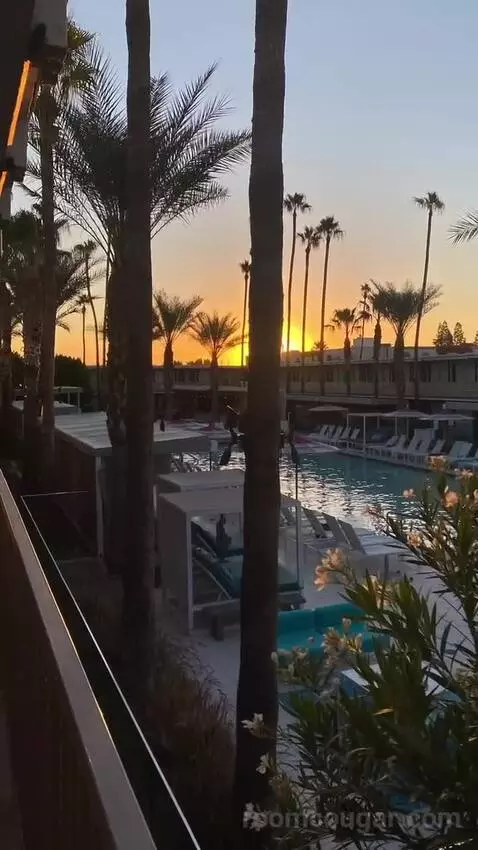 Addy's Suite, 1 Bedroom Suite, 1 King, Poolside view picture #10