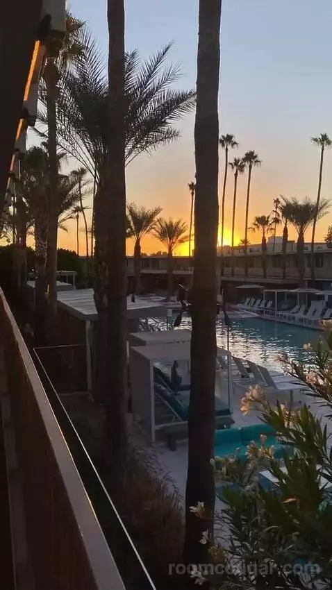 Addy's Suite, 1 Bedroom Suite, 1 King, Poolside view picture #12