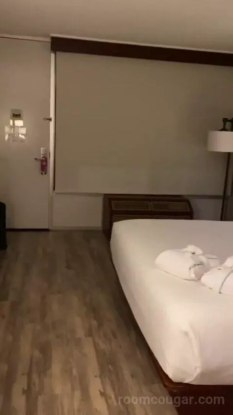 Addy's Suite, 1 Bedroom Suite, 1 King, Poolside bed picture #10