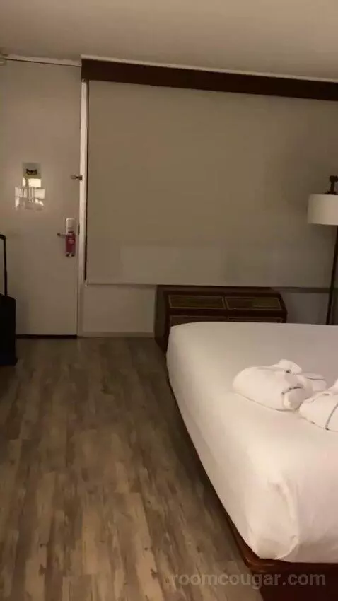 Addy's Suite, 1 Bedroom Suite, 1 King, Poolside bed picture #12