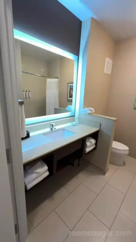 Queen Room (#215) bathroom picture #2