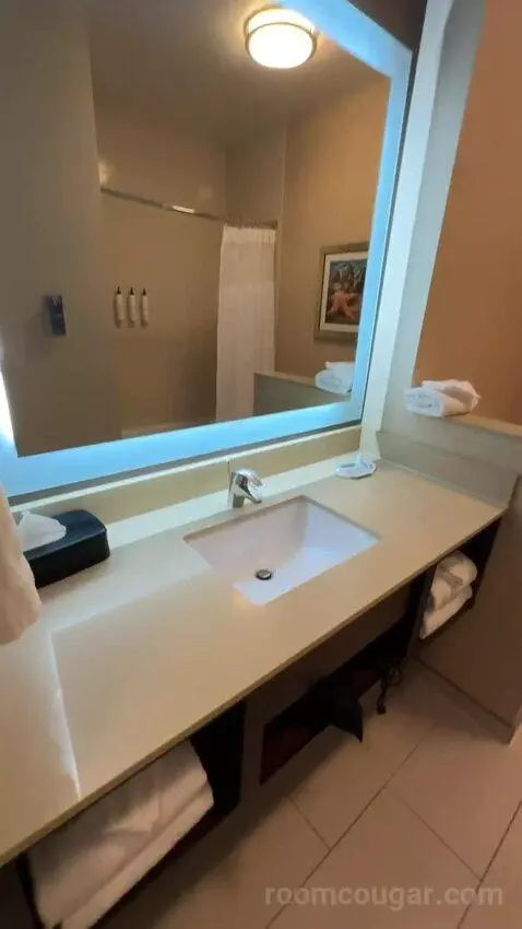 Queen Room (#215) bathroom picture #3