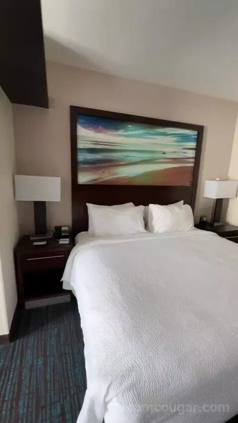 King Suite (#220) bed picture #3