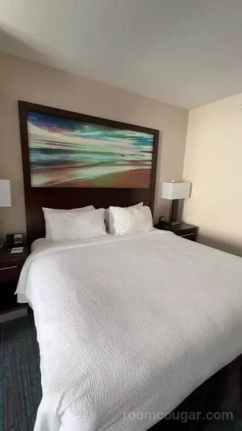 King Suite (#220) bed picture #7