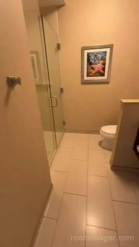 King Suite (#220) bathroom picture #1