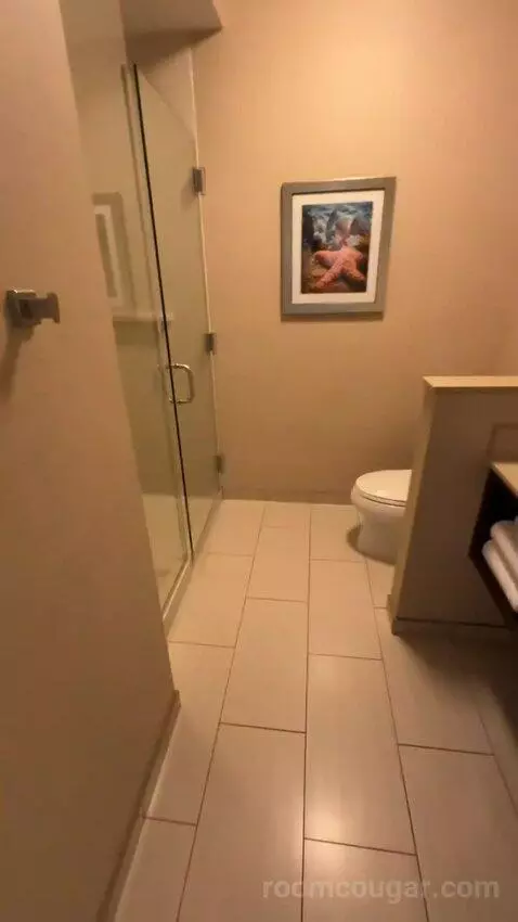 King Suite (#220) bathroom picture #2