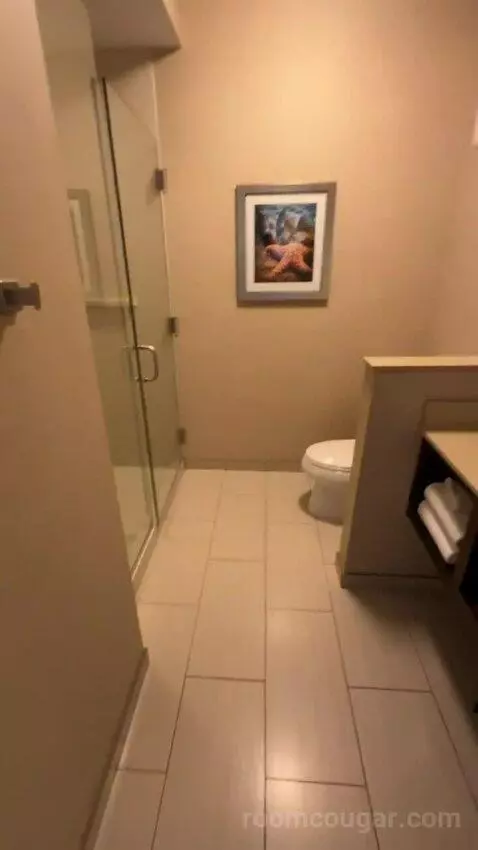 King Suite (#220) bathroom picture #3