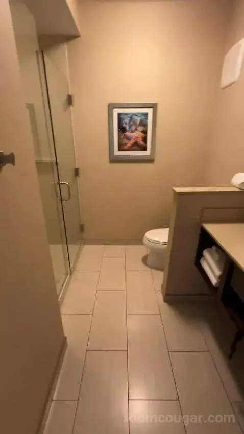 King Suite (#220) bathroom picture #4