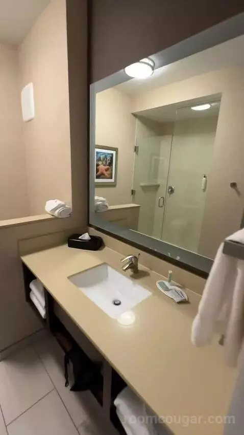 King Suite (#220) bathroom picture #5