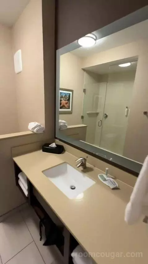 King Suite (#220) bathroom picture #6