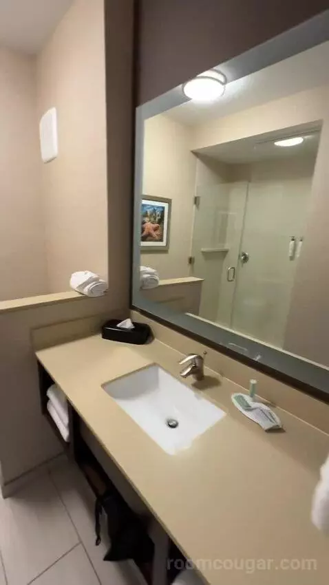 King Suite (#220) bathroom picture #7