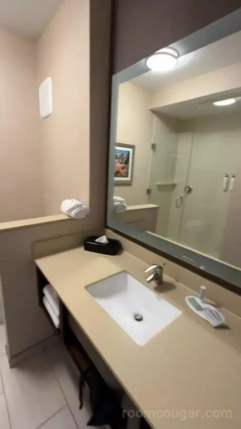 King Suite (#220) bathroom picture #8