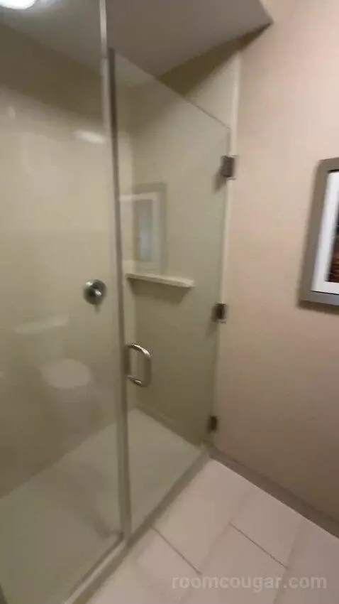 King Suite (#220) bathroom picture #10