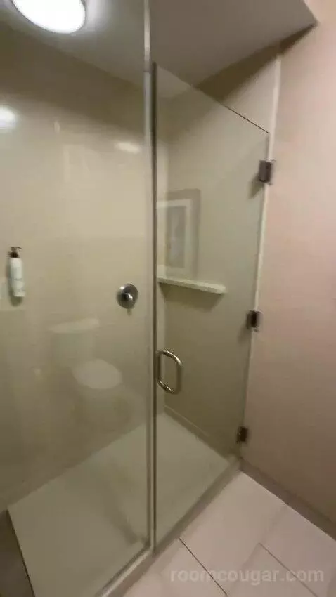 King Suite (#220) bathroom picture #11