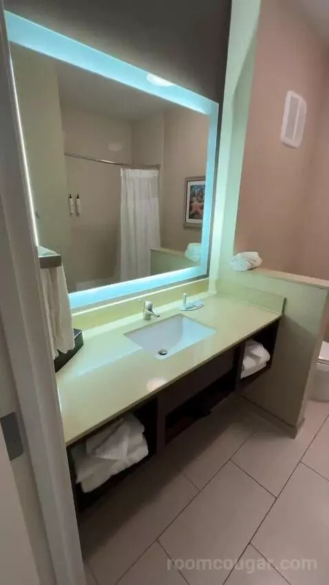 Queen Suite (#222) bathroom picture #1
