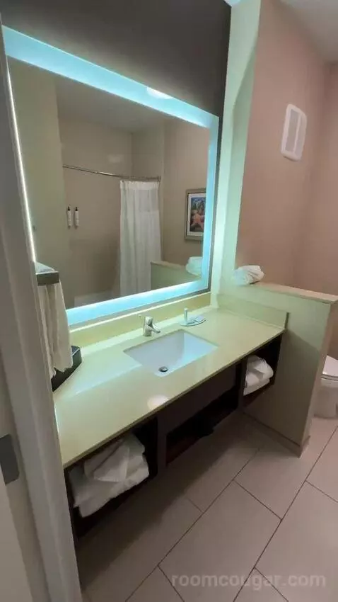 Queen Suite (#222) bathroom picture #2