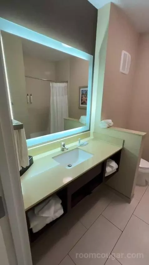 Queen Suite (#222) bathroom picture #3