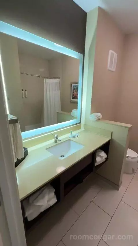 Queen Suite (#222) bathroom picture #4