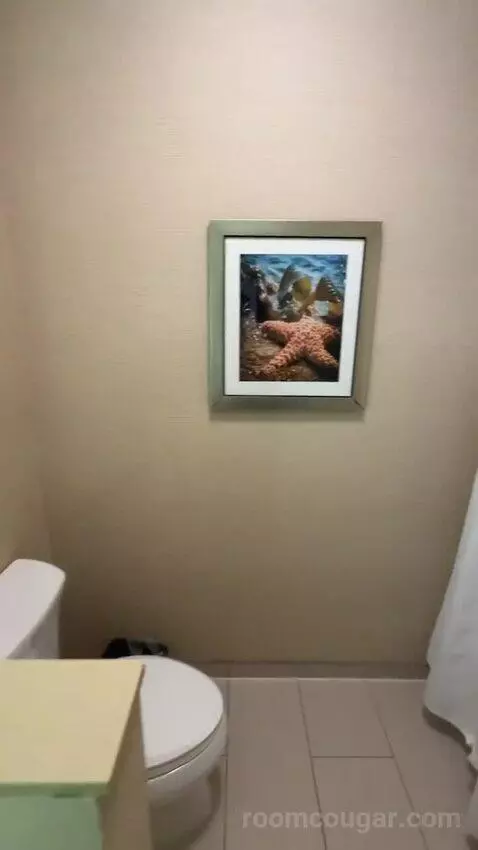Queen Suite (#222) bathroom picture #7