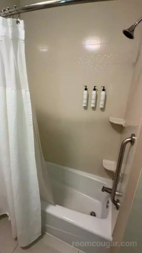 Queen Suite (#222) bathroom picture #10