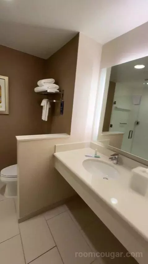 King Room (#224) bathroom picture #6