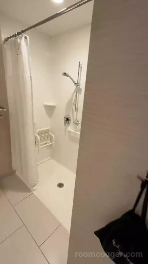 King Suite (#225) bathroom picture #1