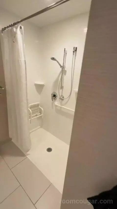 King Suite (#225) bathroom picture #2