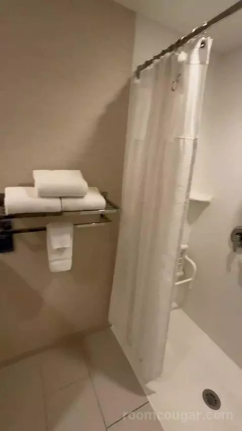 King Suite (#225) bathroom picture #7