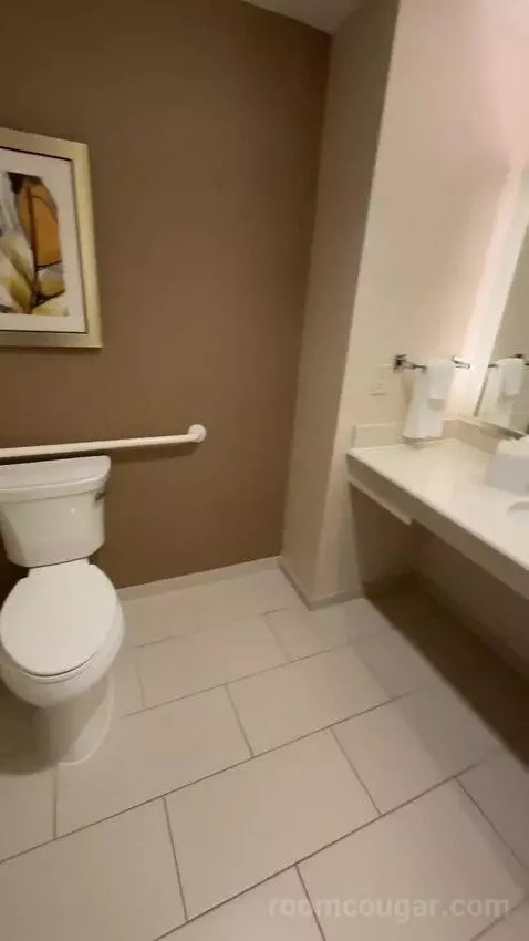 King Suite (#225) bathroom picture #10