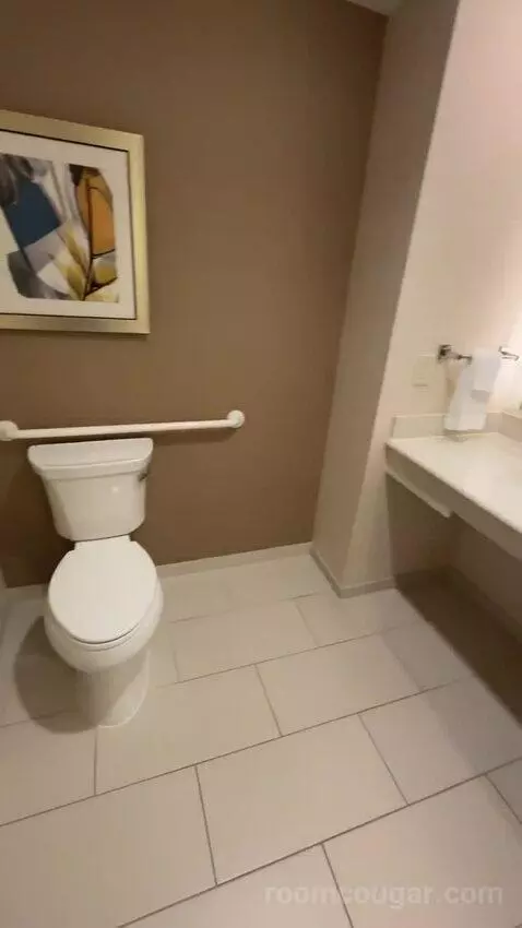 King Suite (#225) bathroom picture #11