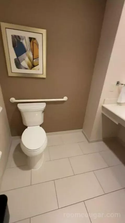 King Suite (#225) bathroom picture #12