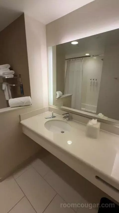 Queen Suite (#231) bathroom picture #1