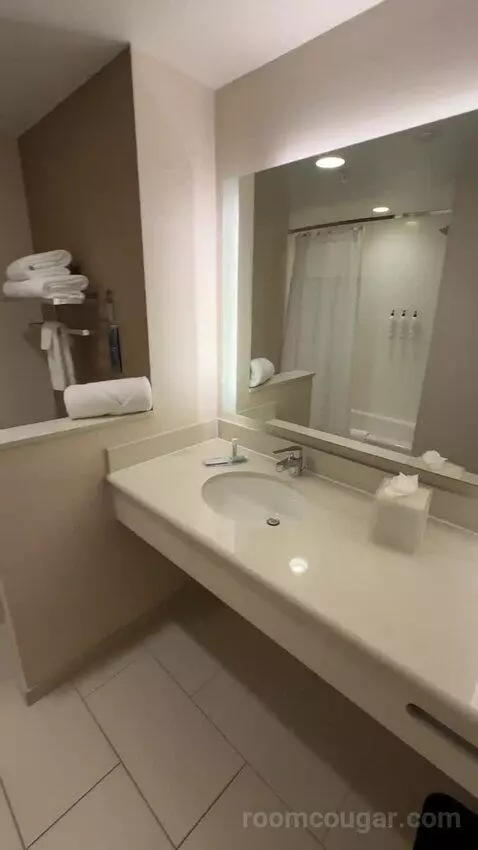 Queen Suite (#231) bathroom picture #2