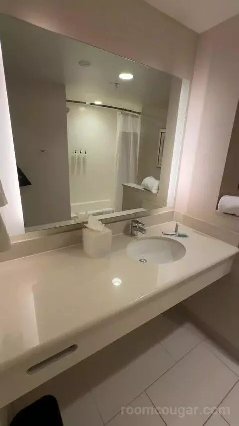 Queen Room (#203) bathroom picture #3