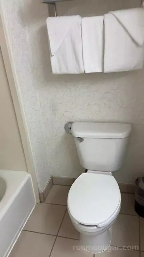 Queen Room with Two Queen Beds (#208) bathroom picture #5