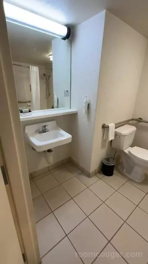 King Room - Mobility Access (#228) bathroom picture #3