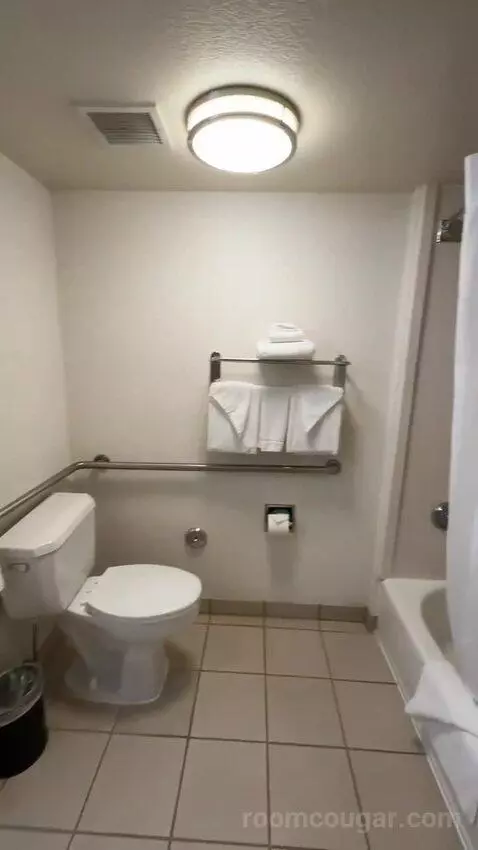 King Room - Mobility Access (#228) bathroom picture #7
