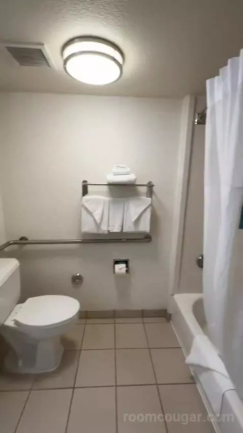 King Room - Mobility Access (#228) bathroom picture #8