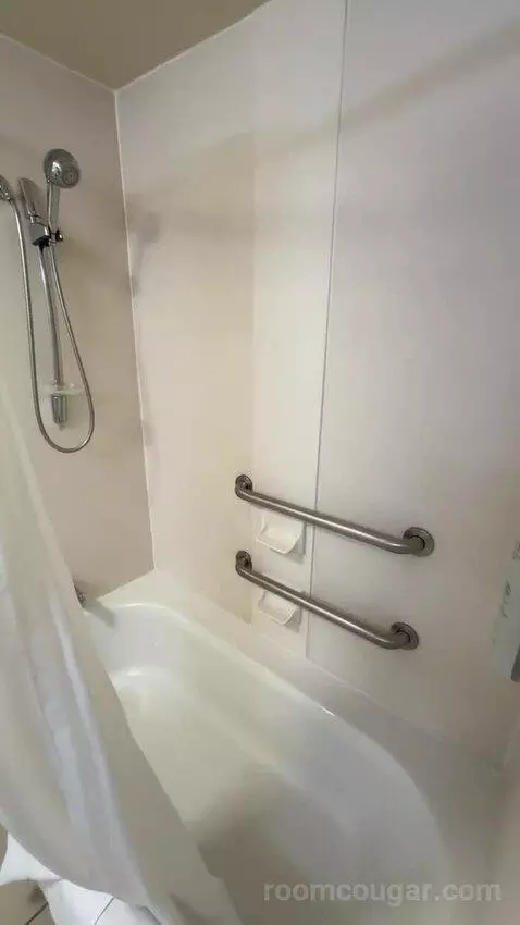 King Room - Mobility Access (#228) bathroom picture #9