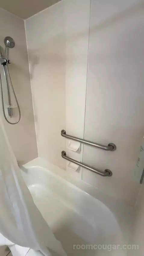 King Room - Mobility Access (#228) bathroom picture #10